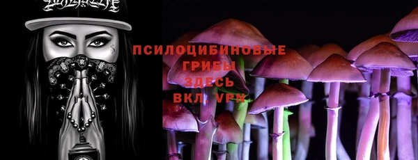 гашик Белокуриха