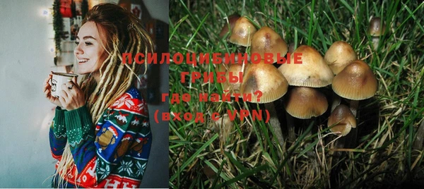 хмурый Богданович